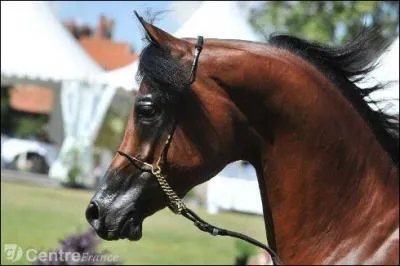 Qu'est-ce qu'un CCE ?