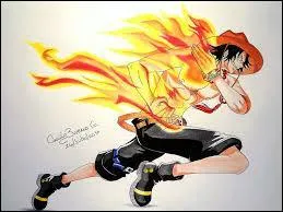 Quel pouvoir utilise-t-il ?