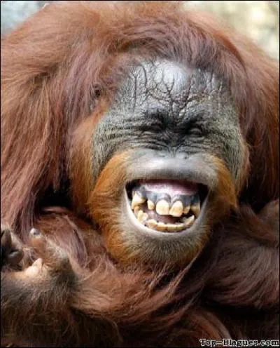 C'est sa façon à lui de te sourire, alors ne lui fais pas la grimace, mais qui est-il au fait ?