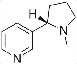 Une consommation de 3, 7 g de nicotine entraîne la mort. A combien de cigarettes cela correspond-il ?