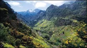 Prenons le large pour atteindre l'île portugaise de Madère. Là-bas, que sont les levadas ?