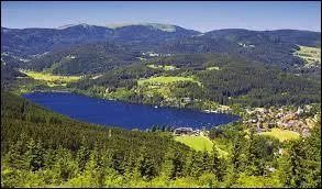 Quel est ce lac allemand situé dans la partie sud de la Forêt Noire ?