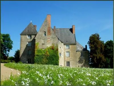 De quoi Balzac a-t-il abus&eacute; au point d'en mourir ?