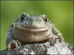 C'est la fin de mon spectacle de la journée, je veux bien vous saluer, mais comment vais-je faire ?