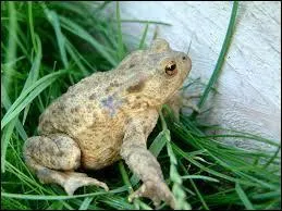 En hiver, laquelle de ces phrases serait juste ?