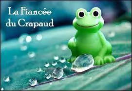 Je vais dans une école pour petits humains afin de présenter mon espèce, un petit homme me dit que je suis le mari de la grenouille. Que lui répondre ?