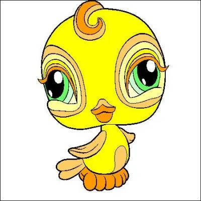 Que pouvait, autrefois, désigner encore le coucou ?