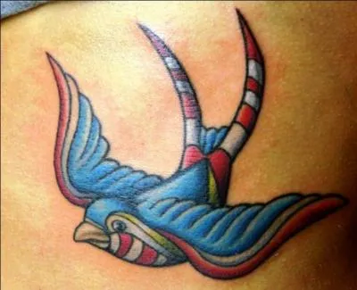 Quel oiseau, qui non content de bavarder, a été souvent un ecclésiastique ?