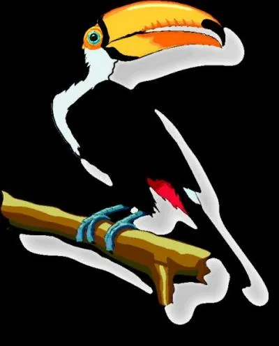 Quel oiseau peut-être également un poisson ?