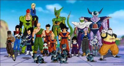 Combien y a-t-il d'ennemis dans dragon Ball Z ?