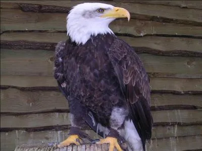 Pour visiter ce pays, je vous recommande de faire un détour par la case de l'Oncle ... Sam !