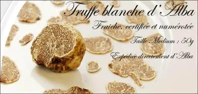 Cette truffe est la plus chère du monde, c'est ce pays qui a fait sa réputation, même si on en trouve de petites quantités ailleurs !