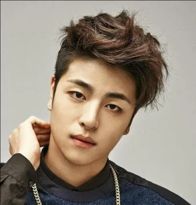 À quel groupe appartient-il ?