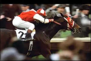 Qui est-ce ? (le cheval)