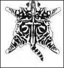 Quel est le patron de la robe ?