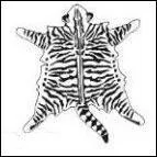 Quel est le patron de la robe ?