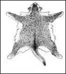 Quel est le patron de la robe ?