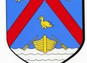 Quiz tes-vous un bon louveteau ?