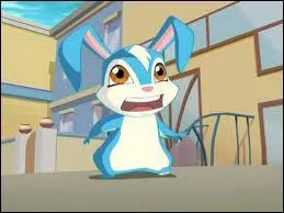 À qui appartient-il ?