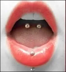 Quelle est cette sorte de "bijoux" ?