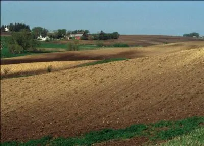 Jour 7 : couche supérieure d'un sol, contenant des résidus végétaux.