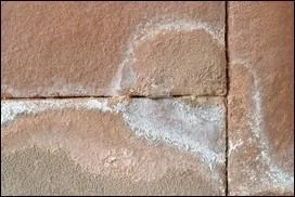 Jour 9 : nitrate de potassium, substance qui se forme naturellement sur les vieux murs.