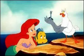 Quel évènement Ariel voit-elle sur un bateau ?