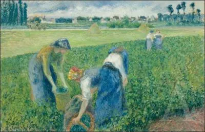 Tous les ânes s'appellent comme lui !