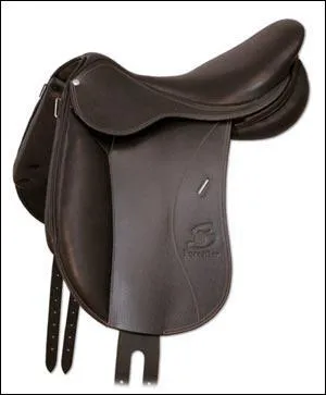 A quelle pratique cette selle sert-elle ?