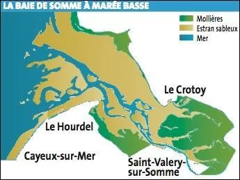 Quel animal est élevé en bordure de mer et qui est classé en A.O.C ?