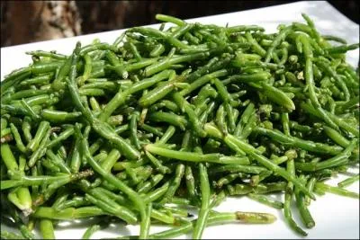 Quel est l'autre nom du passe-pierre ou cornichon de mer ?