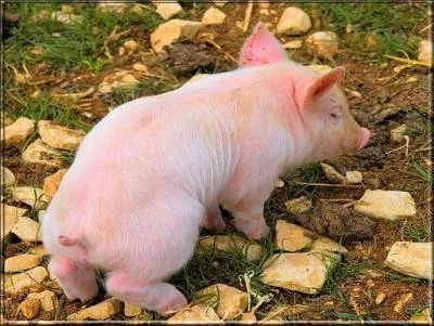 Que peut-il bien m'arriver ?