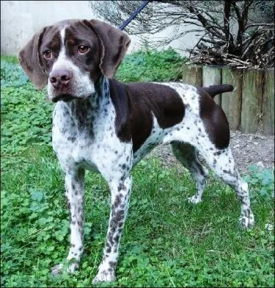 On crie encore mon nom, mais je préfère mon prénom !