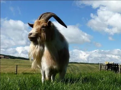 Quelle réponse puis-je vous inspirer ?