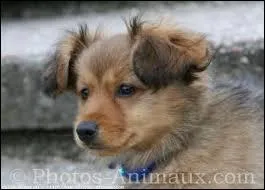 Qu'allez vous faire si elle a de moi ?