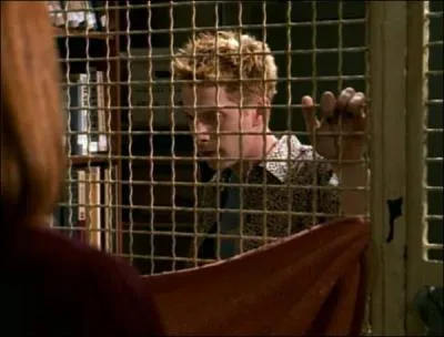 [Les Belles et les Bêtes] Lorsque Faith doit rattraper Oz qui s'est transformé en loup-garou, que fait Willow pour aider Faith dans cette mission ?