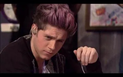 De quelle couleur Niall a-t-il teint ses cheveux pour le 1D day ?