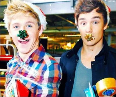 Quel deuxième nom partagent Liam et Niall ?