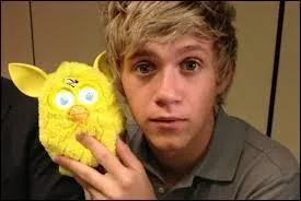 Quelle est la couleur de cheveux naturelle de Niall ?