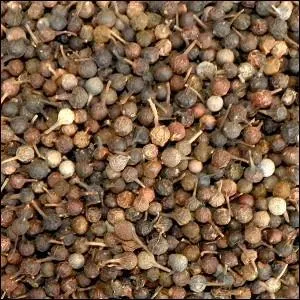 Le Cubèbe ou poivre à queue est un vrai poivre.