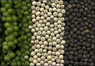 Les vrais poivres : Par laquelle de ces lianes exotiques sont produits les poivres noir, blanc, rouge et vert ?