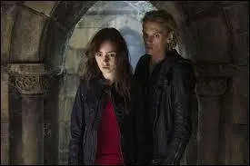 Complète le titre du film " The Mortal Instrument ... "