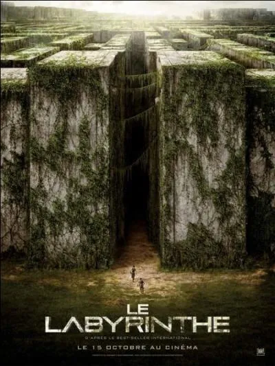 Qui est le réalisateur du "Labyrinthe" ?