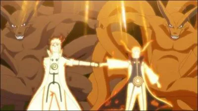 Qui sont ces deux personnages de "Naruto Shippuden" ?