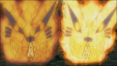 Que voit-on sur cette image ?