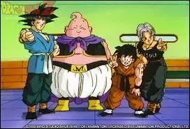 Combien de personnes sont sélectionnées au 26e tournoi d'arts martiaux ?