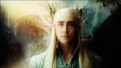 Que veut r&eacute;cup&eacute;rer Thranduil dans le tr&eacute;sor ?