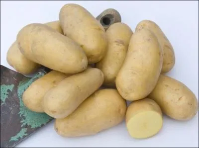 Comment se nomment ces pommes de terre ?