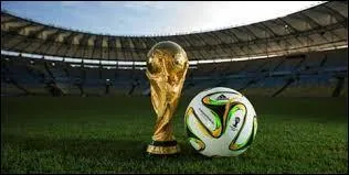 Sur quelle console joue-t-on à la Coupe du Monde 2010 ?