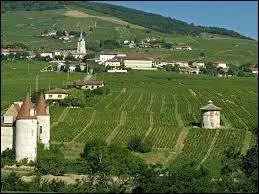 Quincié-en-Beaujolais est une commune rhônalpine située dans le département ...